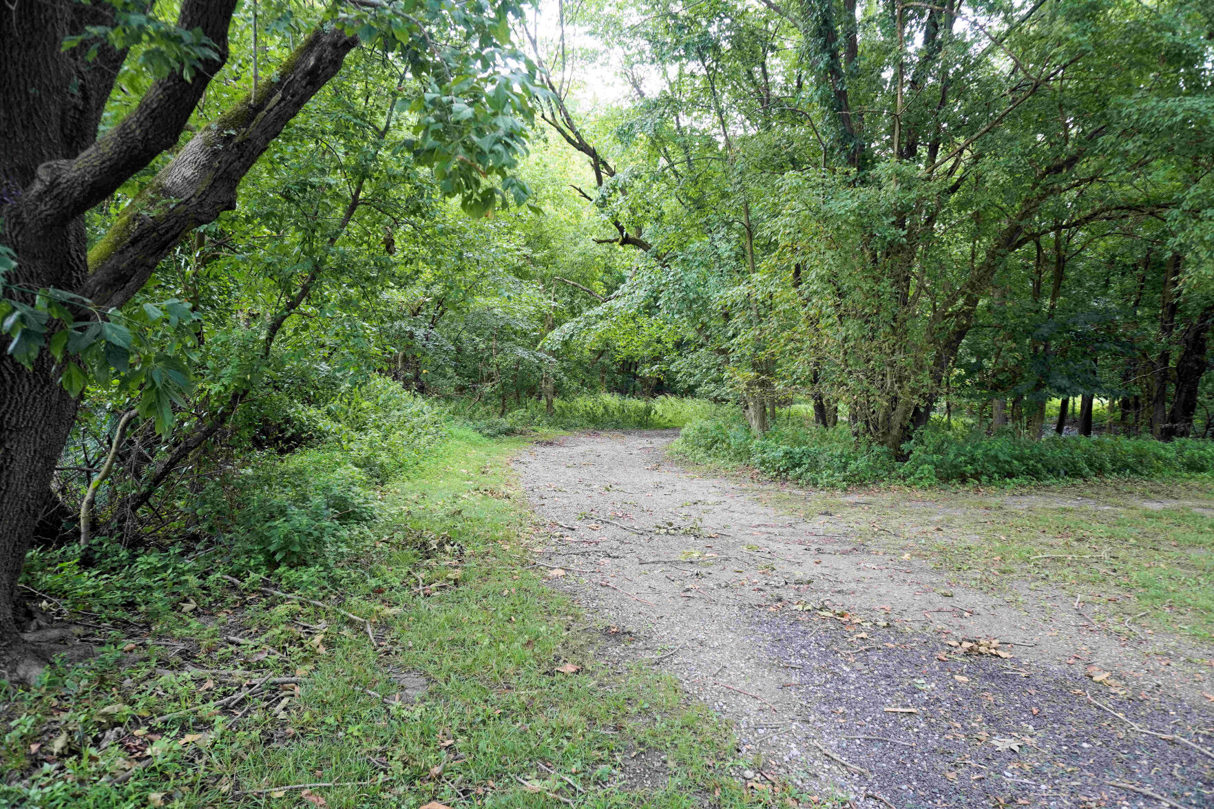 XXXOLD ORCHARD BEGINNING TRAIL.jpg